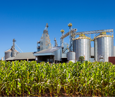 Agri-residue feedstock supply chain