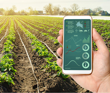 Farm Level Data Infrastrusture is Missing