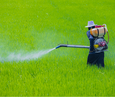 Efficient Nitrogen Fertilizer Use